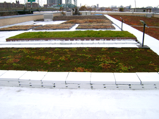 nycpr_6