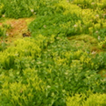 WLUfn_box