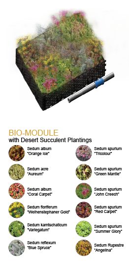 Mod2-image