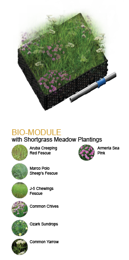 Mod1-image