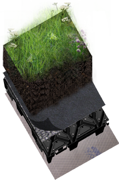 Eco-image
